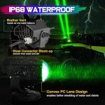 RGBW LED Whip Lights with Switch & Remote