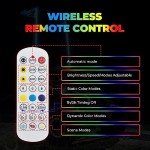 KEMIMOTO LED Whip Lights with RF Remote Control