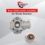 Honda Rancher Rear Differential Assembly Replacement 2007-2013