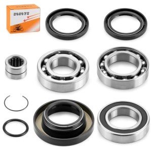 Honda Foreman 500 Rear Differential Bearing Kit