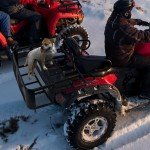 Universal ATV Rear Drop Basket Cargo Rack