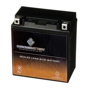 Chrome Battery YTX20CH-BS Maintenance Free Replacement Battery for ATV, Motorcycle, Scooter, and Snowmobile: 12 Volts, 1.8 Amps, 18Ah, Nut and Bolt (T3) Terminal