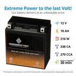 Chrome Battery YTX20CH-BS Maintenance Free Replacement Battery for ATV, Motorcycle, Scooter, and Snowmobile: 12 Volts, 1.8 Amps, 18Ah, Nut and Bolt (T3) Terminal