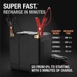 NOCO Lithium NLP30, Group 30, 700A Lithium LiFePO4 Motorcycle Battery, 12V 8Ah ATV, UTV, Jet Ski, 4 Wheeler, Quad, Riding Lawn Mower, Tractor, Scooter, PWC, Seadoo, Polaris and Generator Battery