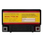 YTX5L-BS -12 Volt 4 AH, 80 CCA, Rechargeable Maintenance Free SLA AGM Motorcycle Battery