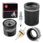 Kawasaki Prairie 360 Air and Fuel Filter Set