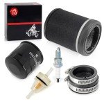 Kawasaki Prairie 360 Air and Fuel Filter Set