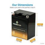 Chrome Battery YTX14AH-BS Maintenance Free ATV Battery