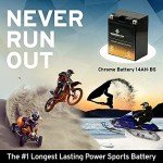 Chrome Battery YTX14AH-BS Maintenance Free ATV Battery