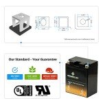 Chrome Battery YTX14AH-BS Maintenance Free ATV Battery