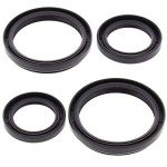 Arctic Cat Prowler 650 Differential Seal Kit