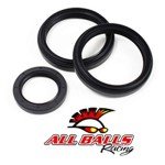 Arctic Cat Prowler 650 Differential Seal Kit