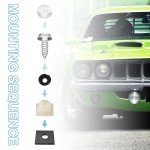 Ziciner 8PCS Anti-Theft License Plate Screw Kit