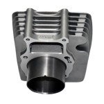 Tupo Cylinder Piston Ring Gasket Kit for Honda