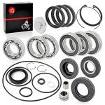 Honda 250 Recon Rear Differential O-Ring Kit