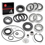 Honda 250 Recon Rear Differential O-Ring Kit
