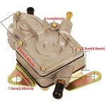 HIFROM Fuel Pump for Polaris RZR 170