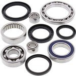 All Balls Racing Rear Differential Seal Kit 25-2030