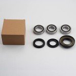Dasbecan ATV Rear Axle Bearing Kit for Honda