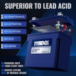 TYKOOL YTX14-BS/YTX14H/GYZ16H Lithium LiFePO4 Motorcycle Battery,12V 8Ah,480CCA,Built in BMS,Powersports Battery,for ATV,UTV,Jet Ski,Snowmobile,Quad,Riding Lawn Mower,Tractor,Polaris Battery