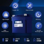 TYKOOL YTX14-BS/YTX14H/GYZ16H Lithium LiFePO4 Motorcycle Battery,12V 8Ah,480CCA,Built in BMS,Powersports Battery,for ATV,UTV,Jet Ski,Snowmobile,Quad,Riding Lawn Mower,Tractor,Polaris Battery
