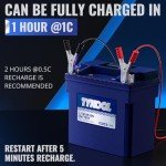 TYKOOL YTX14-BS/YTX14H/GYZ16H Lithium LiFePO4 Motorcycle Battery,12V 8Ah,480CCA,Built in BMS,Powersports Battery,for ATV,UTV,Jet Ski,Snowmobile,Quad,Riding Lawn Mower,Tractor,Polaris Battery