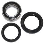 Honda TRX300 4x4 Front Right Wheel Bearing Seal Kit
