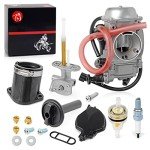 Carburetor and Fuel Valve Kit for Kawasaki Prairie