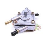 Linhai Bighorn 260 Fuel Pump Assembly