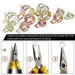 Rustark 55-Piece Fuel Line Hose Clamp Kit