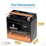 Chrome Battery YTX14-BS ATV Replacement Battery