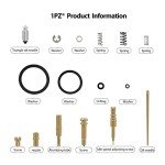 Honda Recon TRX 250 Carburetor Rebuild Kit