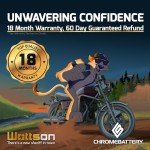 Chrome Battery YTX14-BS ATV Replacement Battery