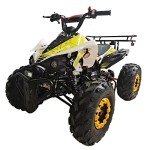 X-PRO 125cc Automatic ATV with LED Headlights