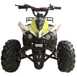 X-PRO 125cc Automatic ATV with LED Headlights