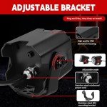 RGBW Whip Lights Kit with Remote & Switch