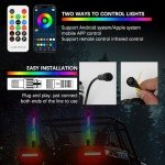 DREAMOTOR 1FT RGB LED Whip Lights with Remote