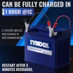 TYKOOL 12V 18Ah Lithium Powersports Battery