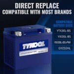 TYKOOL 12V 18Ah Lithium Powersports Battery