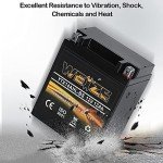 Weize High Performance Sealed Motorcycle Battery