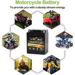 Weize High Performance Sealed Motorcycle Battery