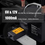 Automatic 6V/12V Trickle Battery Charger for Vehicles