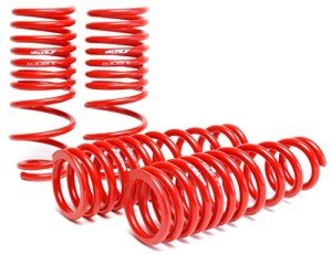 Skunk2 Racing Lowering Coil Spring Set for ATVs