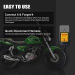 Automatic 6V/12V Trickle Battery Charger for Vehicles