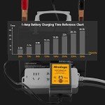 Automatic 6V/12V Trickle Battery Charger for Vehicles