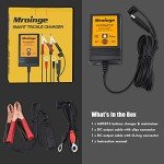 Automatic 6V/12V Trickle Battery Charger for Vehicles