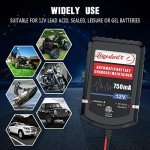 4-Pack Smart 12V Battery Charger Maintainers