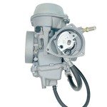 Yamaha Grizzly 660 Carburetor with Fuel Valve