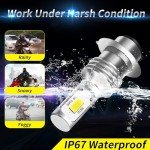 ZEBANERT H6M LED ATV Fog Lamps 6000LM