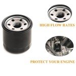 Massimo Oil Filter Replacement for UTV Models